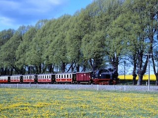 Kleinbahn Molli