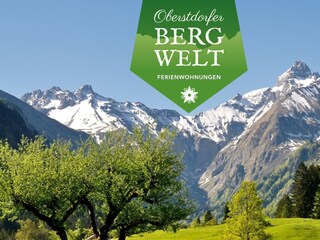 Appartamento per vacanze Oberstdorf Ambiente 16