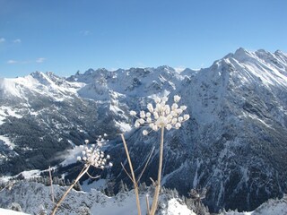 Apartamento de vacaciones Oberstdorf Entorno 14