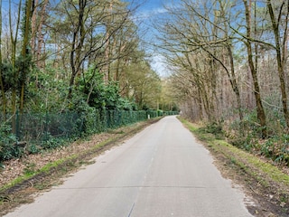 Maison de vacances Baarle-Nassau Environnement 39