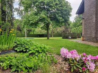 Ferienhaus Baarle-Nassau Außenaufnahme 2