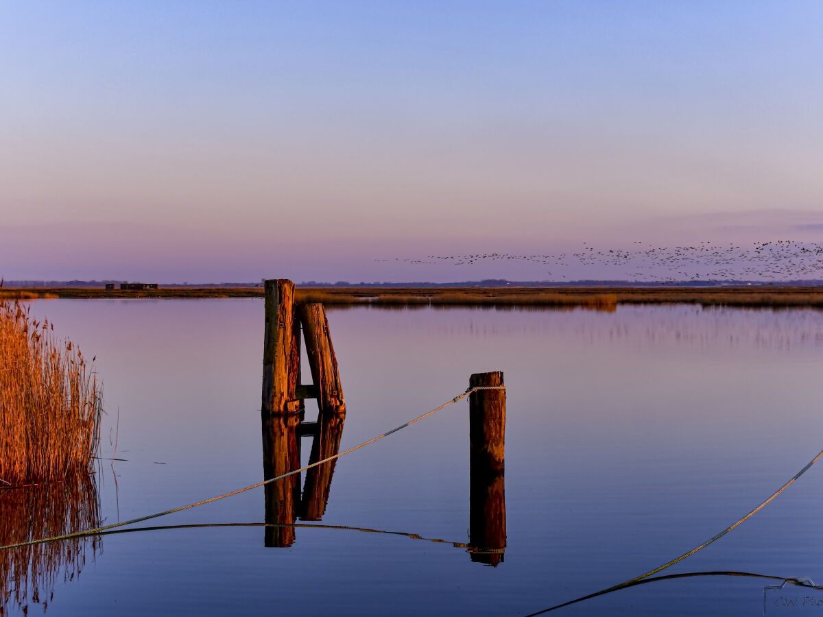 Spaziergänge am Bodden