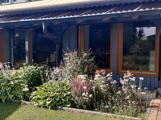 Ferienhaus Müden/Örtze Außenaufnahme 9