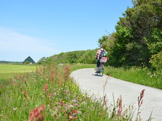 Vakantiehuis De Koog Omgeving 18