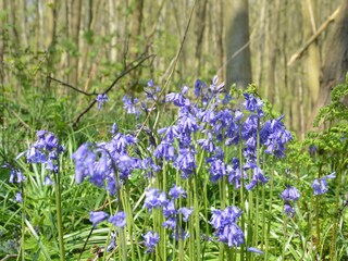 Casa per le vacanze De Koog Ambiente 20