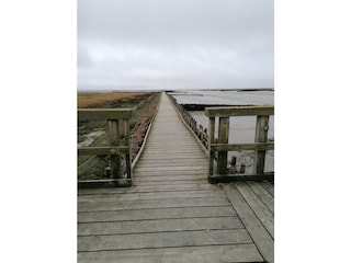 Vakantieboerderij Langenhorn (Nordfriesland) Omgeving 27