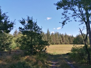 Type de propriété : Ferme de vacances Langenhorn (Nordfriesland) Environnement 33