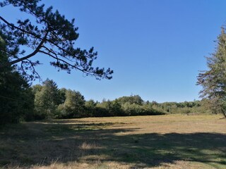 Type de propriété : Ferme de vacances Langenhorn (Nordfriesland) Environnement 28