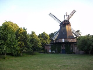 Casa rural de vacaciones Langenhorn (Nordfriesland) Documento 36