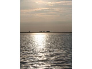 Type de propriété : Ferme de vacances Langenhorn (Nordfriesland) Document 37