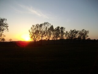 Type de propriété : Ferme de vacances Langenhorn (Nordfriesland) Environnement 25