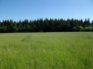 Type de propriété : Ferme de vacances Langenhorn (Nordfriesland) Environnement 28