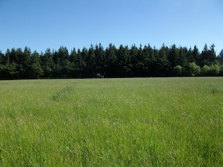 Vakantieboerderij Langenhorn (Nordfriesland) Omgeving 24