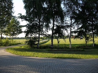 Vakantieboerderij Langenhorn (Nordfriesland) Omgeving 22