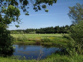 Type de propriété : Ferme de vacances Langenhorn (Nordfriesland) Environnement 23