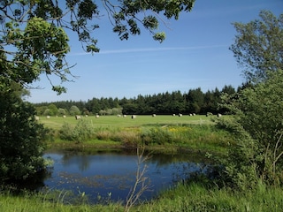 Vakantieboerderij Langenhorn (Nordfriesland) Omgeving 23
