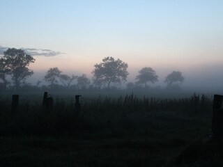 Type de propriété : Ferme de vacances Langenhorn (Nordfriesland) Environnement 34