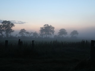 Vakantieboerderij Langenhorn (Nordfriesland) Omgeving 30
