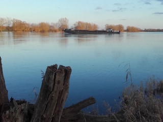 Die Elbe im Morgenlicht..