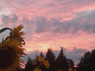 Im Wendland geht die Sonne unter.