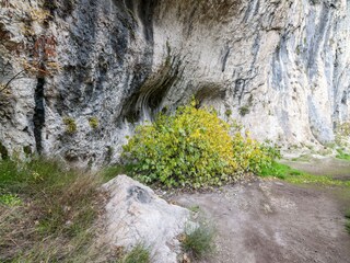 Casa de vacaciones Acqualagna Entorno 38