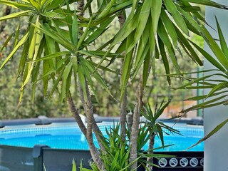 Casa per le vacanze Toscolano-Maderno Registrazione all'aperto 8