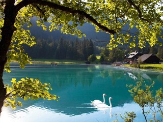 Appartement Kleinarl Buitenaudio-opname 4