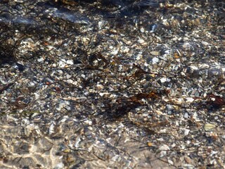 Ferienhaus Binderup Strand  15