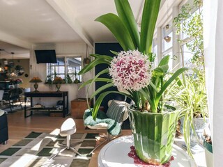 Vakantiehuis Gilleleje  18
