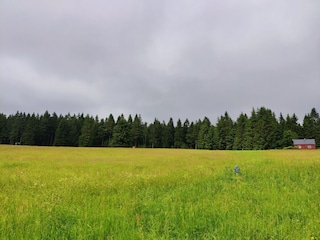 Holiday house Friedrichshöhe (Sachsenbrunn) Environment 38