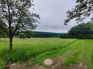 Ferienhaus Friedrichshöhe (Sachsenbrunn) Umgebung 34