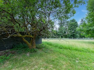 Vakantiehuis Friedrichshöhe (Sachsenbrunn) Omgeving 35