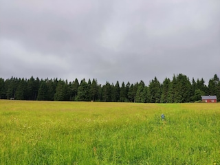 Maison de vacances Friedrichshöhe (Sachsenbrunn) Environnement 33