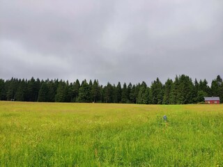 Vakantiehuis Friedrichshöhe (Sachsenbrunn) Omgeving 30