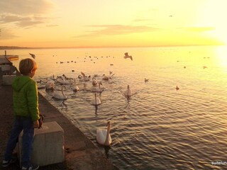 Appartamento per vacanze Lazise Ambiente 31