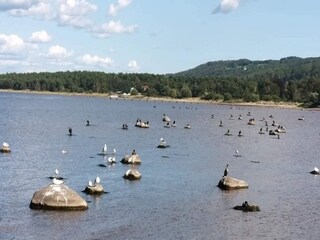 Holiday house Vejbystrand  13