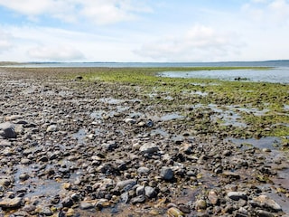 Holiday house Trend  9