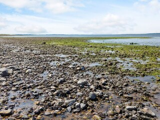 Maison de vacances Trend  14