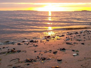 Holiday house Trend  10