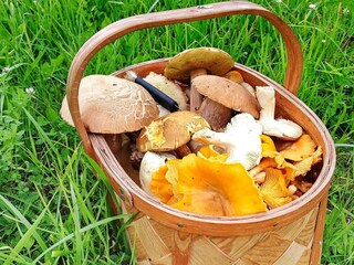 Vakantiehuis Laxne  17