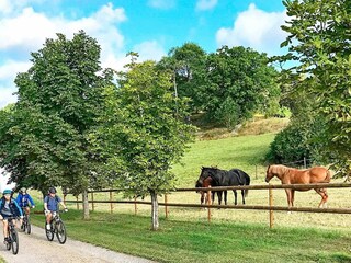 Vakantiehuis Laxne  28