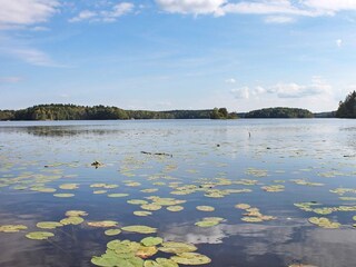 Ferienhaus Laxne  26