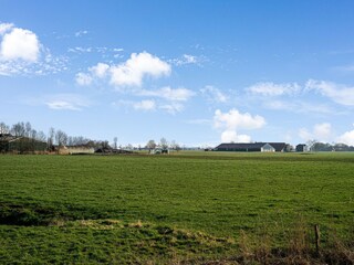 Vakantiehuis Bunde Omgeving 28