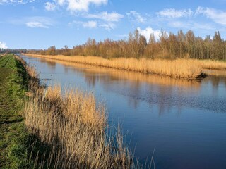 Vakantiehuis Bunde Omgeving 29
