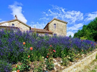 Maison de vacances Dicomano Enregistrement extérieur 1