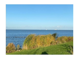 Blick auf's Ijsselmeer