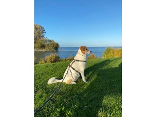 Vakantiehuis Enkhuizen Buitenaudio-opname 9