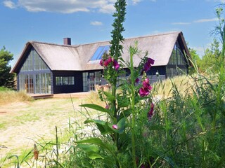 Ferienhaus Blåvand  2