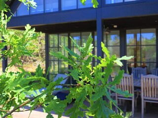 Holiday house Blåvand  18