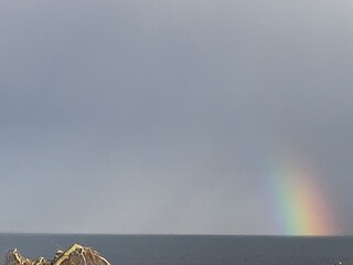 Appartamento per vacanze Bliesdorf Caratteristiche 23